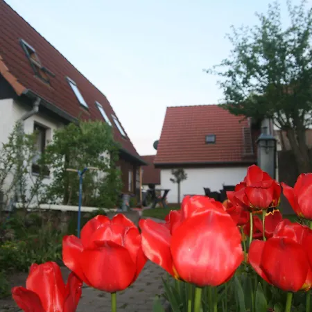 Gersdorf Xl